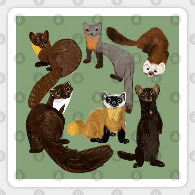 Marten species Magnet by belettelepink